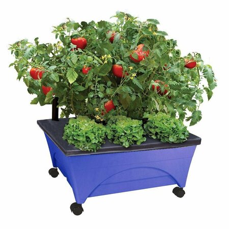 CITY PICKERS Raised Bed Grow Box, Self Watering and Improved Aeration, Mobile Unit with Casters, Cobalt Blue 2348-1HD